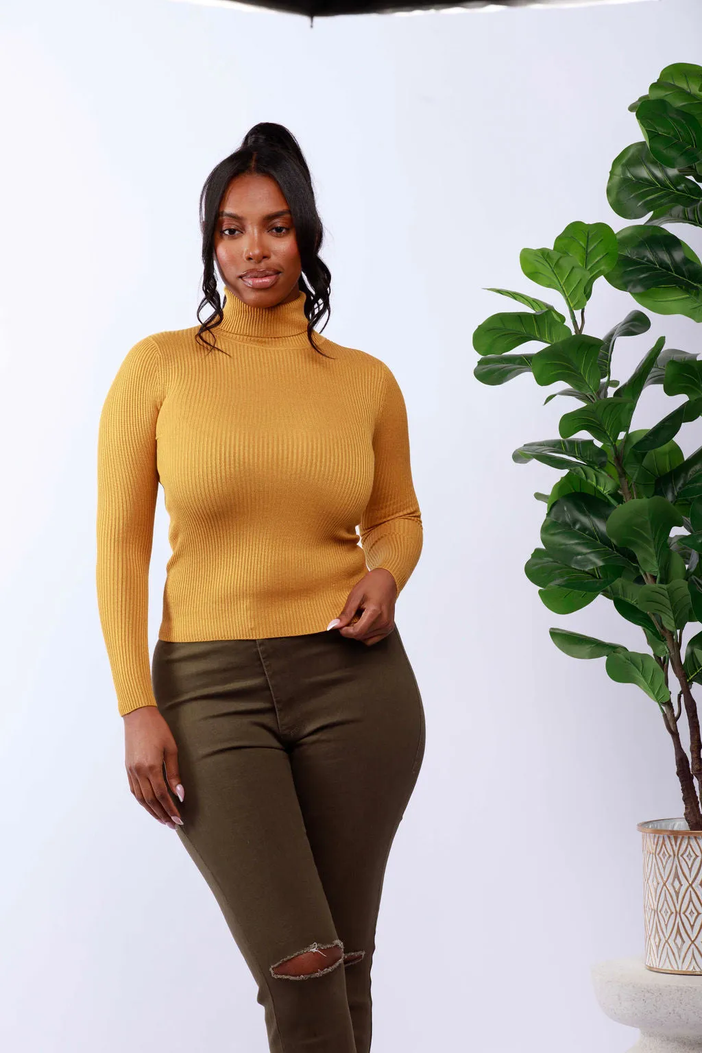 Solid Turtleneck Long-Sleeve Sweater